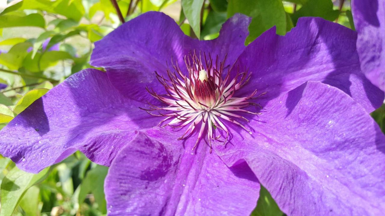 PasselLa Bretonniere, Longere Picardeアパートメント エクステリア 写真